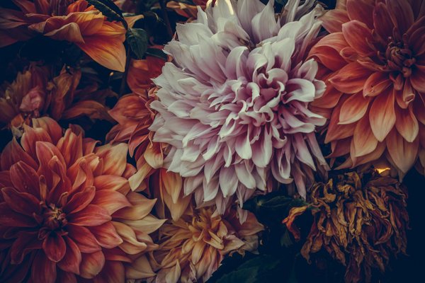 Key insights for buying a southampton property with a personal dock: a comprehensive guide