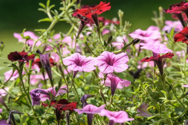 Revamp your cardiff sanctuary: innovative and stylish makeover ideas for a distinctive home